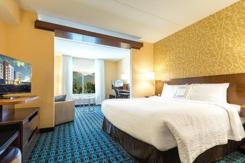 Fairfield Inn & Suites Asheville Tunnel Road 3