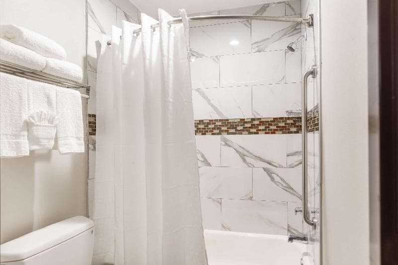 Econo Lodge - Near Houston Medical Center-Nrg Park 3