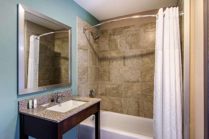 Clarion Inn & Suites Atlanta Downtown 3