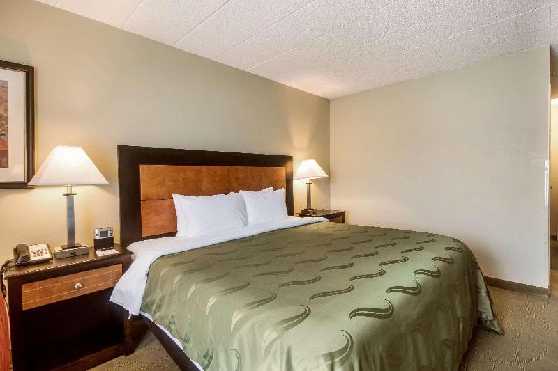 Quality Hotel 5