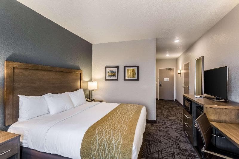 Comfort Inn & Suites Salt Lake City Airport 3