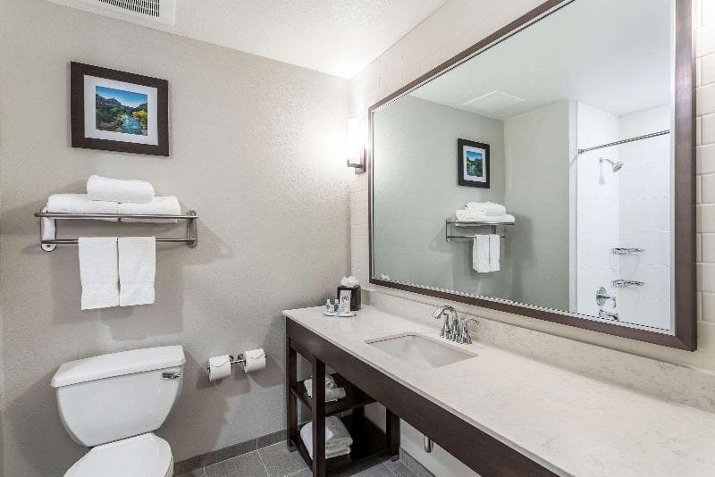 Comfort Inn & Suites Salt Lake City Airport 4