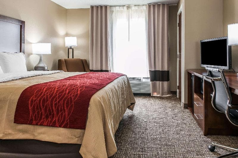 Comfort Inn & Suites 3