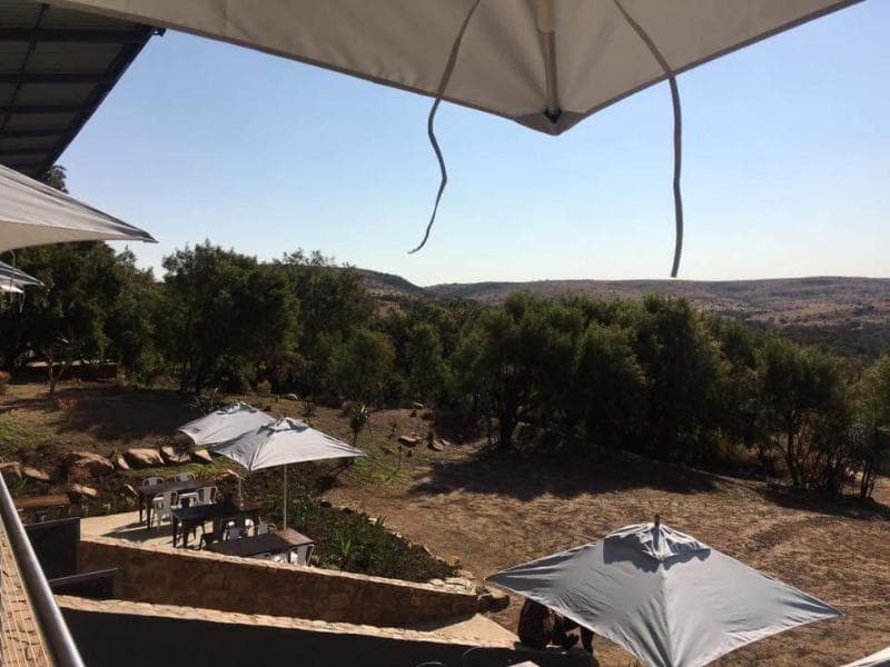 Cradle Boutique Hotel (Adults Only) main