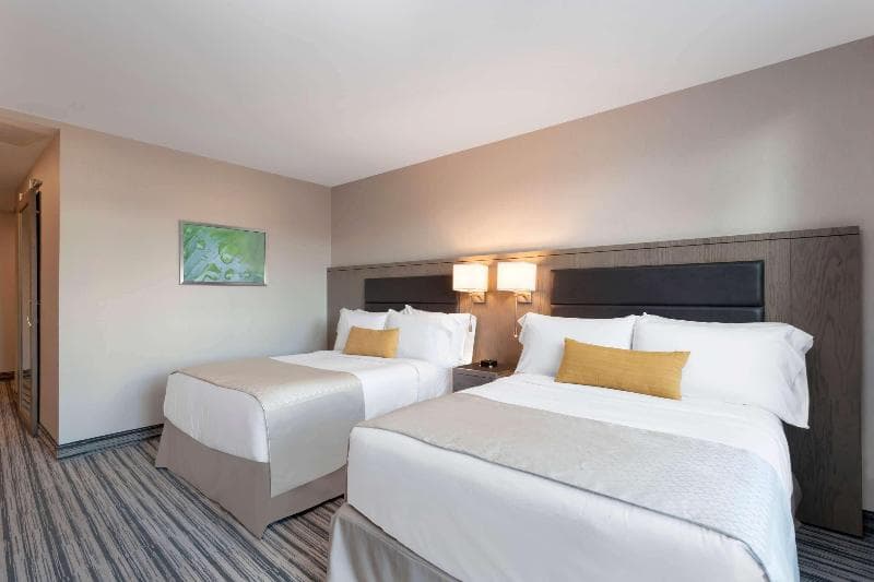 Wyndham Garden LaGuardia South 3