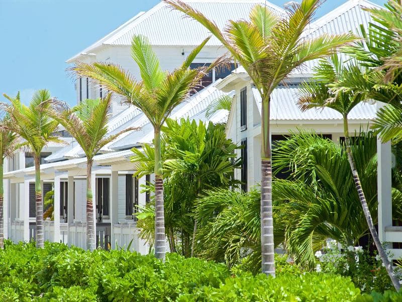 Mahogany Bay Resort & Beach Club, Curio Collection by Hilton 5