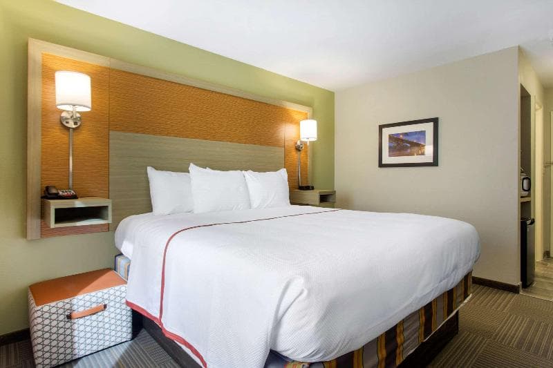 Gallus Stadium Park Inn, Ascend Hotel Collection photo 1
