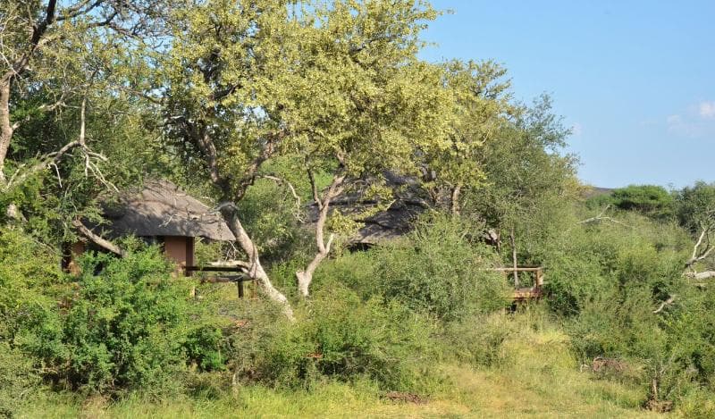 Motswiri Private Safari Lodge 4