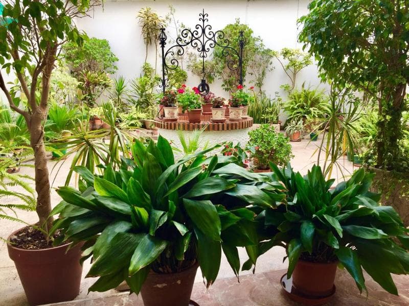 Solroom Plz La Nogalera - Adults Only 3