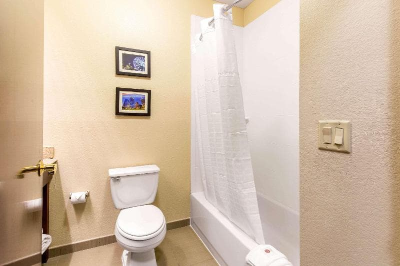 Comfort Inn & Suites IAH Bush Airport - East photo 1