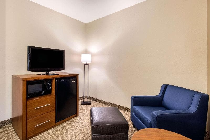 Comfort Inn & Suites IAH Bush Airport - East 3