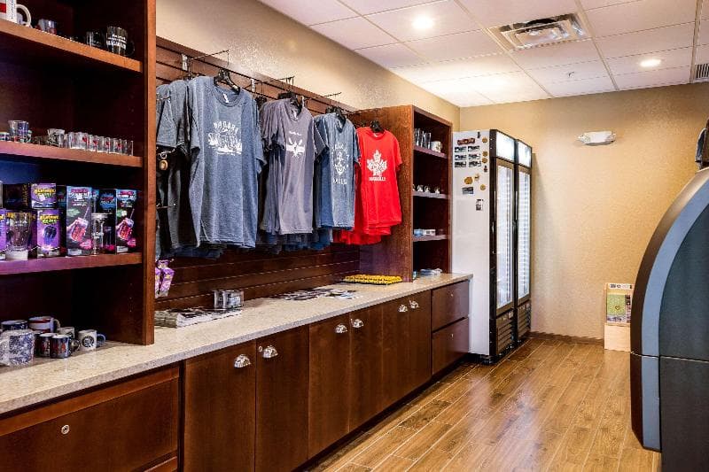 Comfort Inn & Suites Niagara Falls Blvd USA 2