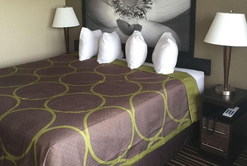 Super 8 By Wyndham Florence 5