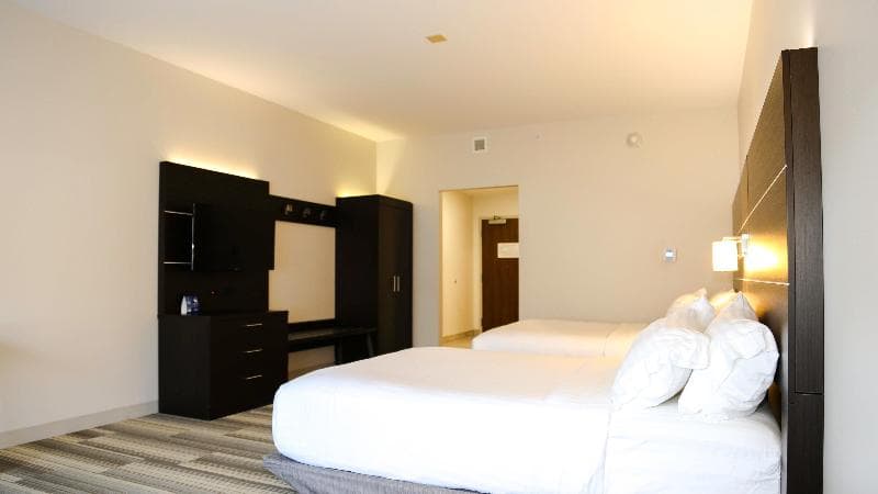 Holiday Inn Express & Suites Kingston-Ulster 5