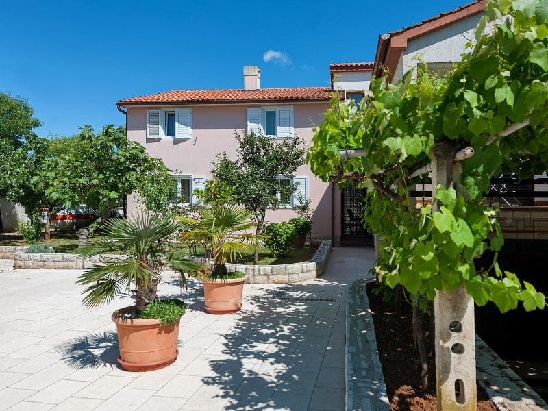 Apartments Neva 2