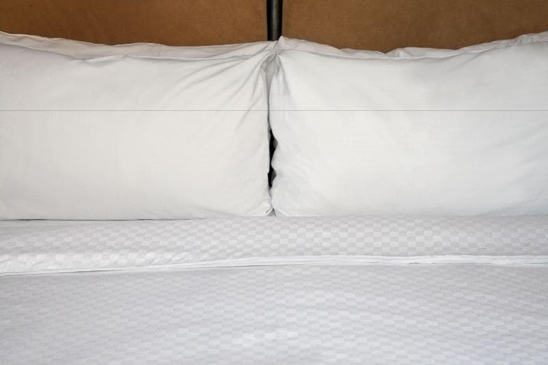 Four Points By Sheraton Dallas Fort Worth Airport North 5