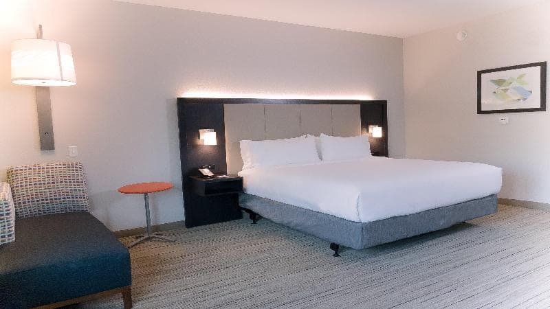 Holiday Inn Express & Suites Tampa East - Ybor City 4
