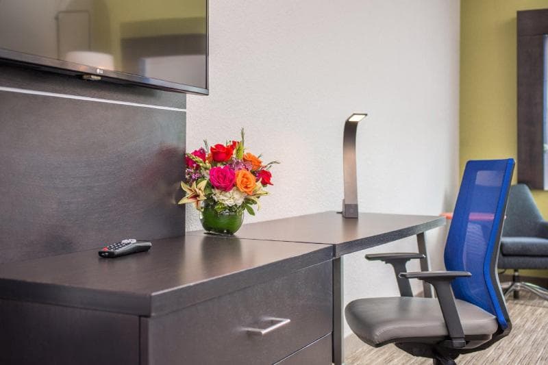 Holiday Inn Express & Suites Tampa North - Wesley Chapel 5