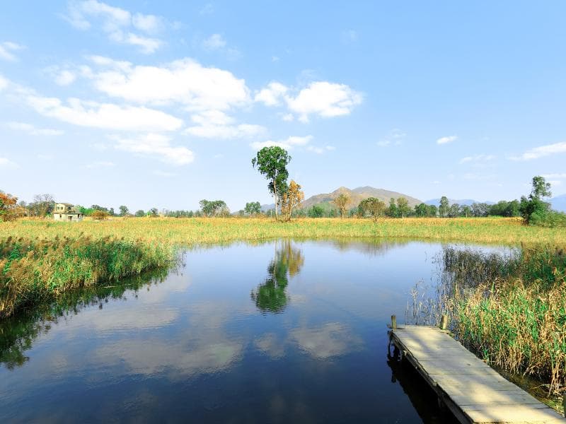 Hotel Cozi Wetland 2