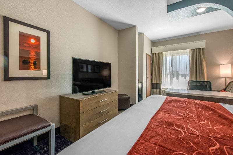 Comfort Suites Fort Lauderdale Airport & Cruise Port 5