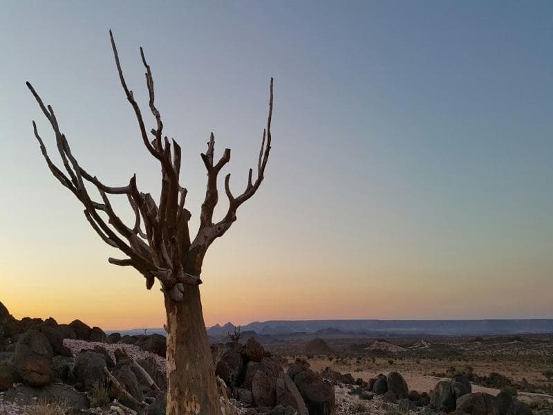 Tutwa Desert Lodge 3