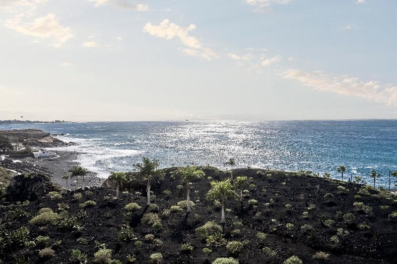 Royal Hideaway Corales Suites 5