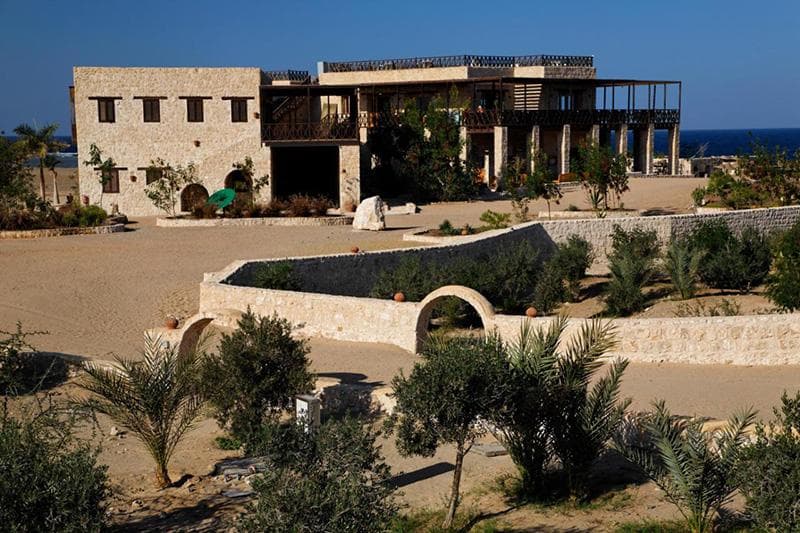 The Oasis 4