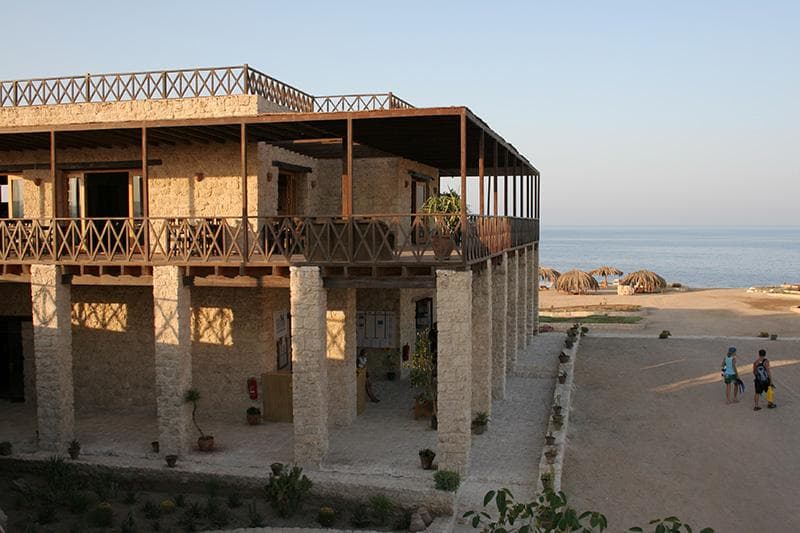 The Oasis 5