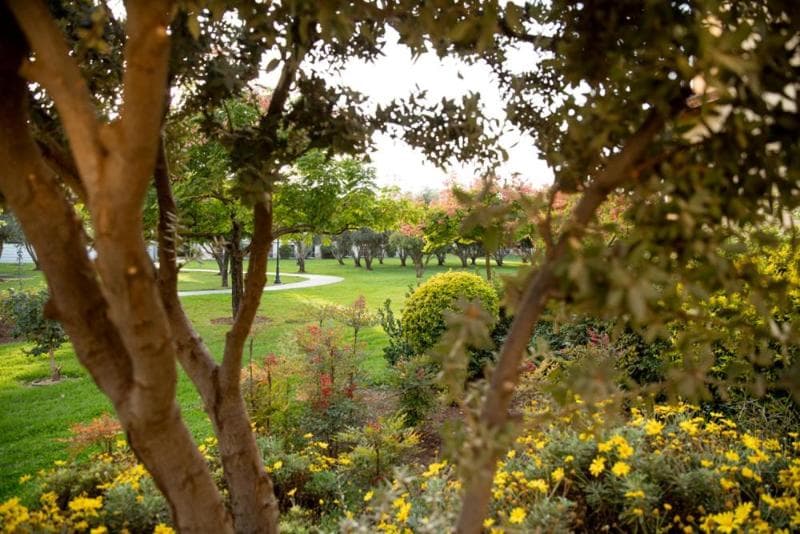 Pastoral Kfar Blum 4