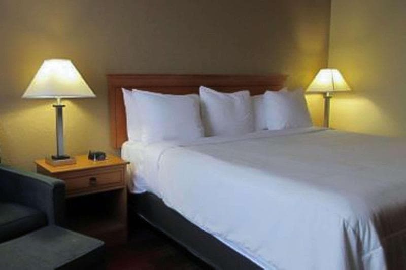 Quality Inn & Suites Airport photo 1