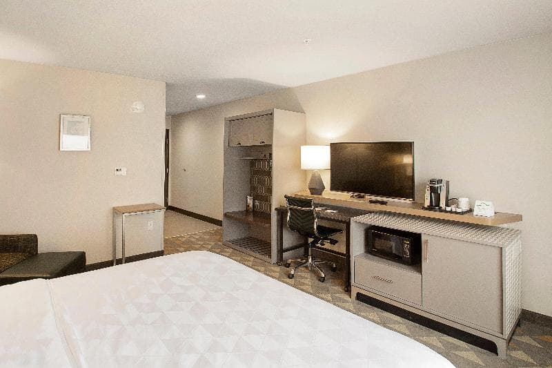 Holiday Inn Hotel And Suites-Decatur 3