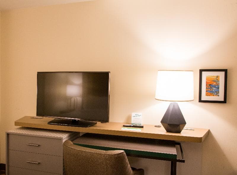 Holiday Inn & Suites Mount Pleasant 3