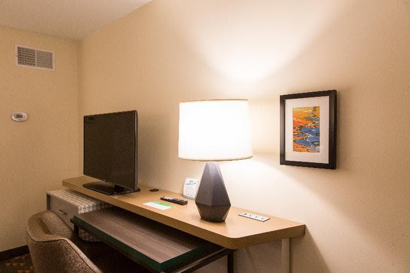 Holiday Inn & Suites Mount Pleasant 5