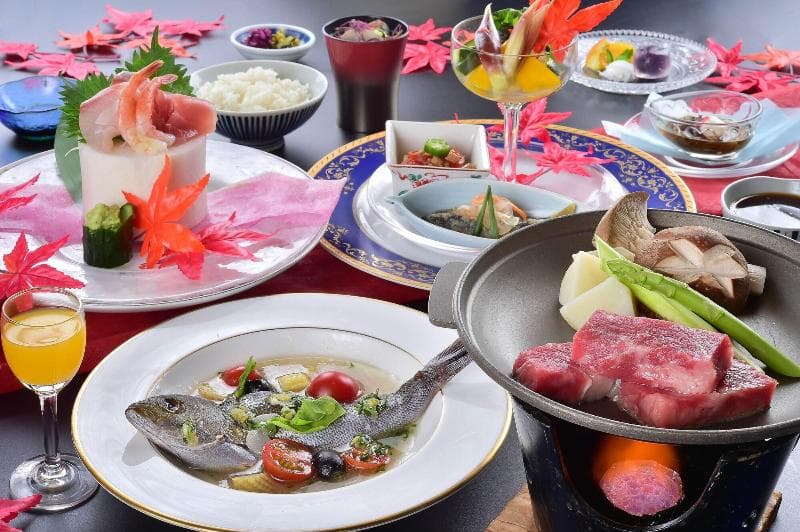 Tateyama Resort Hotel 2