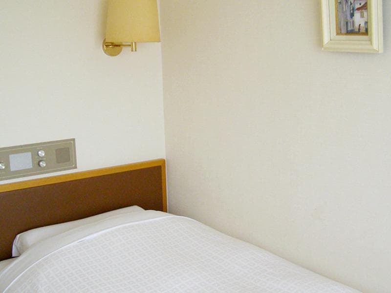 Ichikawa Grand Hotel 4