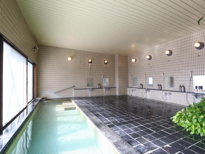 Hotel Silk Inn Madarao main