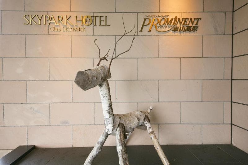 Sky Park Hotel 4