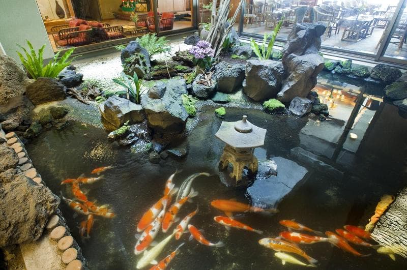 Ibusuki Onsen Ginsyou (Adults Only) 5