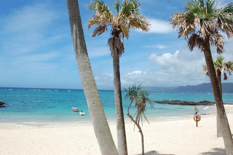 Amami Resort Bashayamamura 4