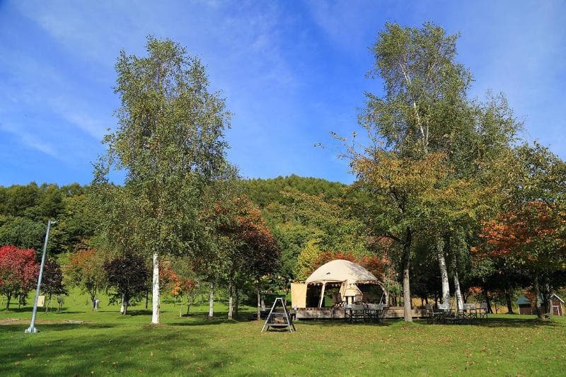 Loghotel The Maplelodge 5