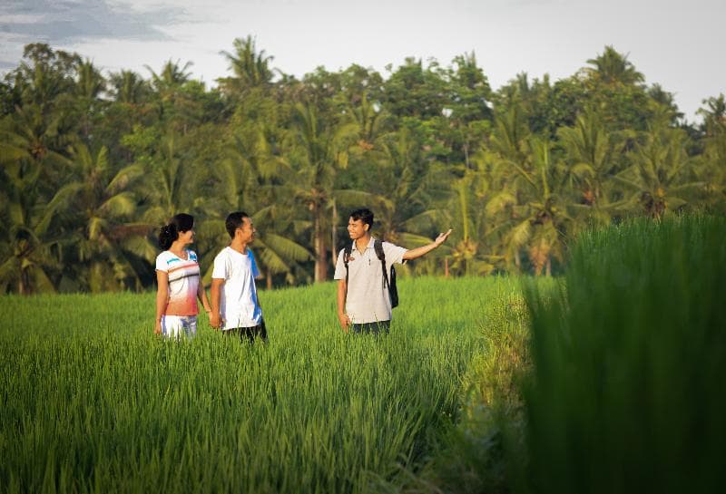 Purana Boutique Resort 4
