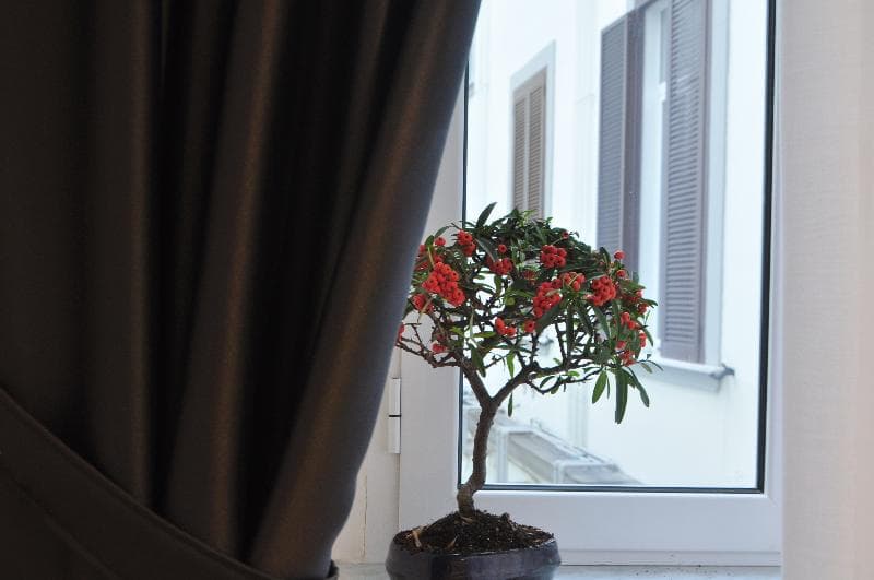 Hermes Inn Apartments Napoli 3