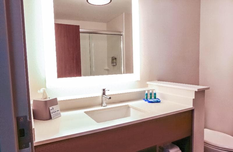 Holiday Inn Express And Suites Houston Iah - Beltway 8 3