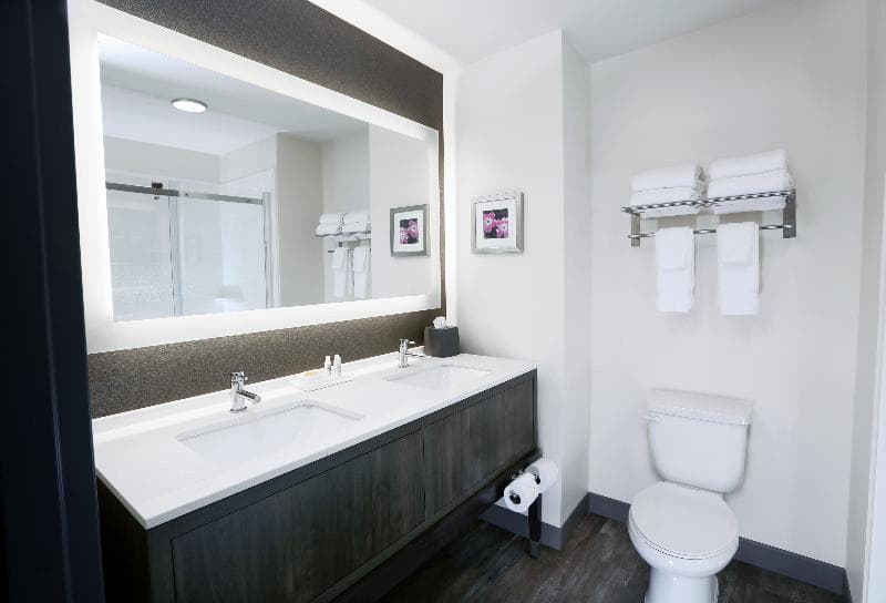 Holiday Inn Hotel And Suites Sioux Falls - Airport 4