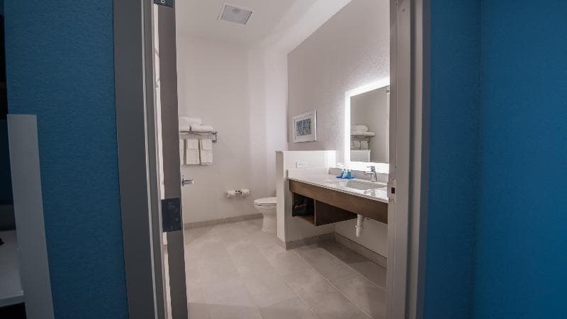 Holiday Inn Express & Suites-Dripping Springs 4