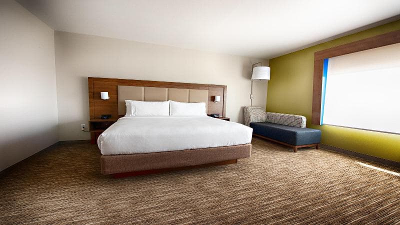 Holiday Inn Exp & Sts Houston Sw - Galleria Area 5
