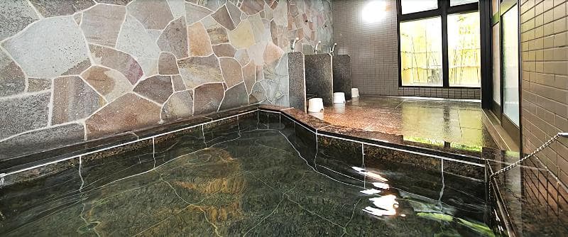Hotel Shinsuien main