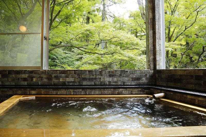 Hashinoya Annex Ransui (Adults Only) main