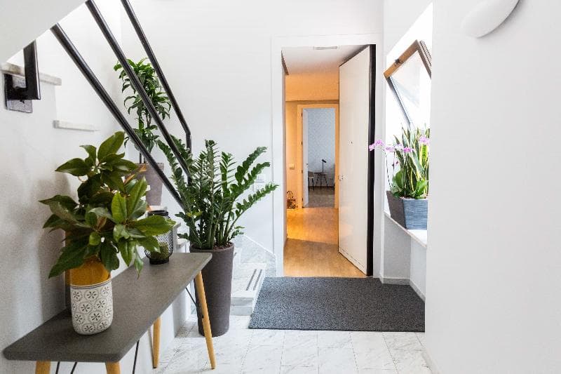 200 Rooms And Terrace 4