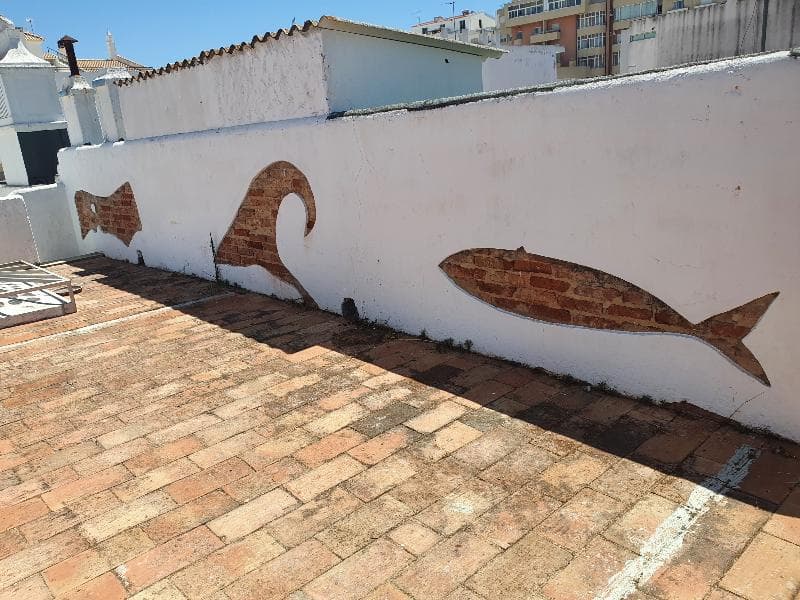 Baixa Terrace Hostel 4